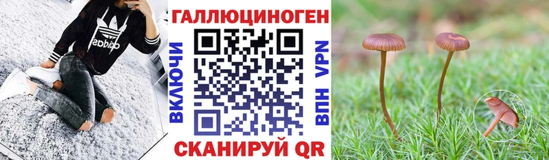 Псилоцибиновые грибы MAGIC MUSHROOMS  Черноголовка 